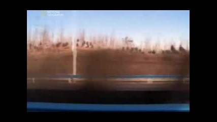 Шаолинско кунг фу