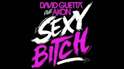 David Guetta feat Akon - Sexy Bitch (radio Edit)