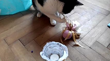 Vid_20171213_150750