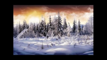 The Attic Project - While Others Yearn
