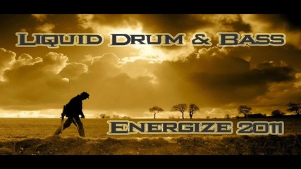 Drum And Bass - Best Of Liquid 2011