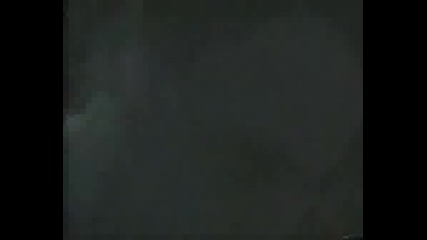 Arkus P. Live