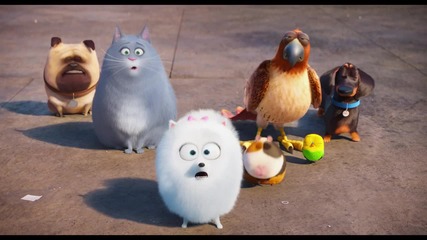 The Secret Life of Pets *2016* Trailer