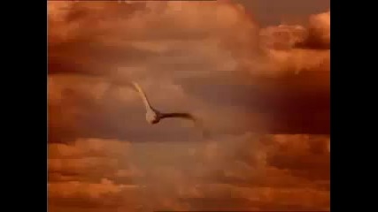 Gregorian - Heaven Can Wait