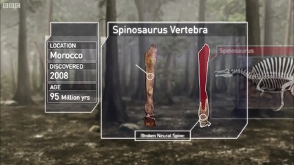 Spinasaurus Vs Carcharodontosaurus The Balance Of Power Planet Dinasaur Bbc World Belgesel Filmi