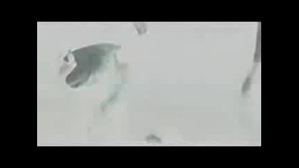 Eclipse trailer