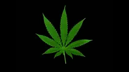 Cypress Hill Hits From The Bong 