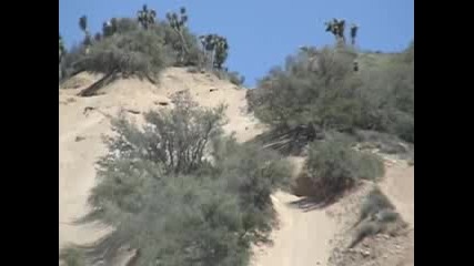 Dirt Bike Hill Climb 