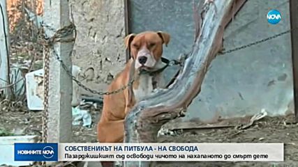 Освободиха от ареста собственика на кучето от Мокрище