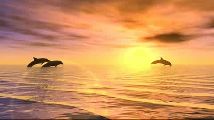 Pianochocolate - Dancing Dolphins