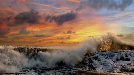 [ H D ] Ty Phoo - Goa