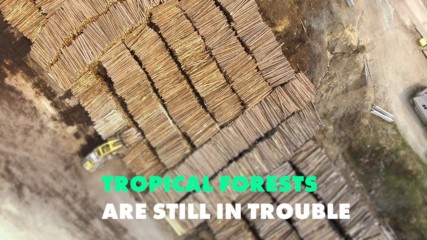 2018 was a terrible year for tropical forests