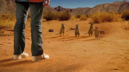 Has Messi Met His Meerkat Match Високо Качество 