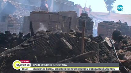 Видео - (2021-08-14 11:02:13)