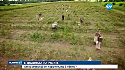 Новините на Нова (01.06.2016 - следобедна)