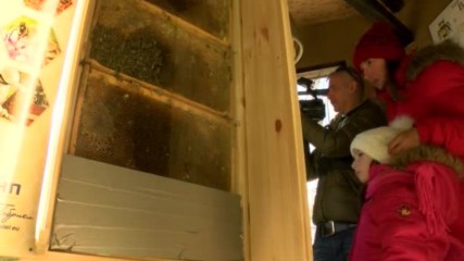 Музей на пчели отваря врати в София - видео БГНЕС
