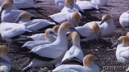 Незнаем какво убиваме 