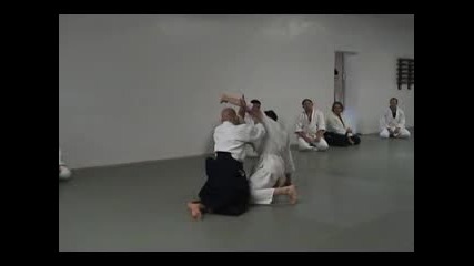 Aikido - Shomen Uchi Sankyo Suwari Waza