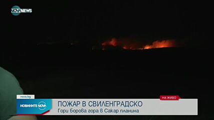 Голям пожар бушува край Свиленград