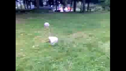 Side Fliip By Me ... !! 