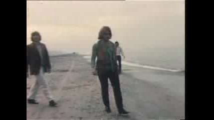 The Cats - Why