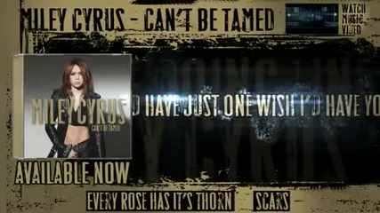 Stay - Miley Cyrus - Listening Party 