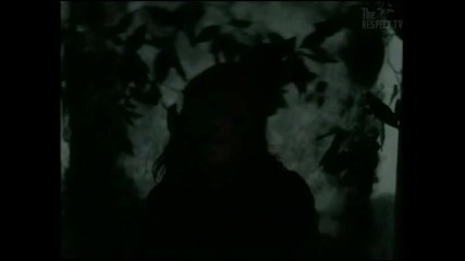 Vexos- Cats In The Cradle (official Video)