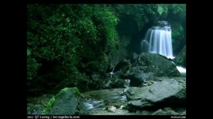 Китайска Красота