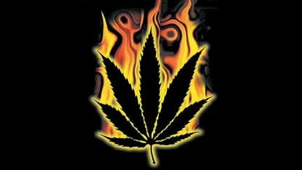 Kottonmouth Kings Rest of My Life - (smoke Weed)
