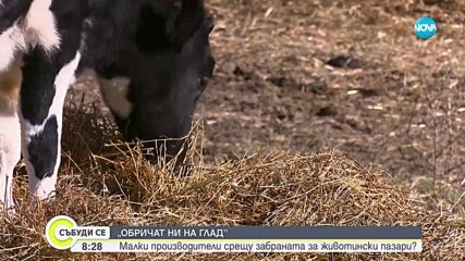 Производители с остра реакция след забраната за фермерските пазари