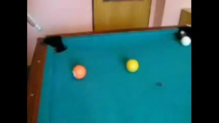 Pool Tricks