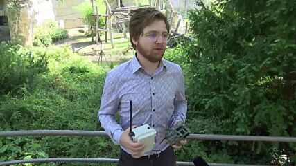 AI ще следи поведението на горилите в зоопарка в Берлин (ВИДЕО)
