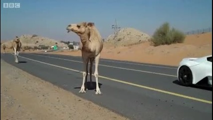 Cars and Camels - Zenvo St1 - Top Gear Magazine