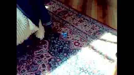 Tomi Tornado.mp4
