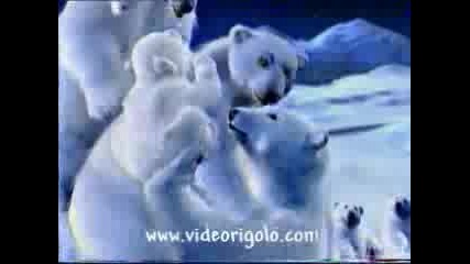 Coca Cola Bear Advert 