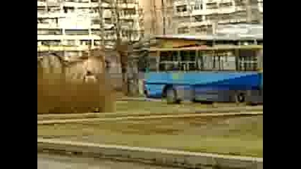 Икарус 280
