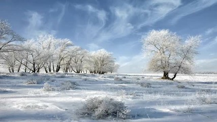 Sounds of Winter
