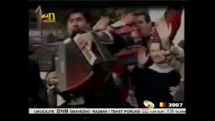 milos boajnic 