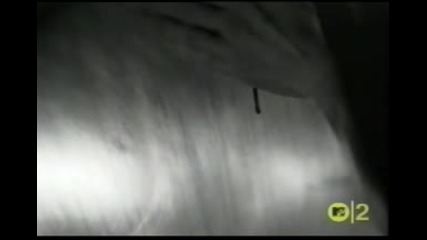 Metallica - The Unforgiven