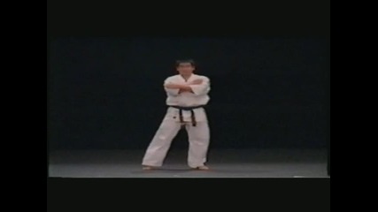 Kyokushin - Pinan sono san - kata 
