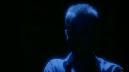 Sting - Fields Of Gold