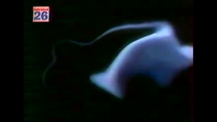 Интервюта със звездите от великия филм Писък 3 (2000)