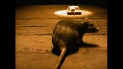 Megadeth - Insomnia