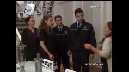 Yaprak dokumu - 166 bolum / 2 kisim 