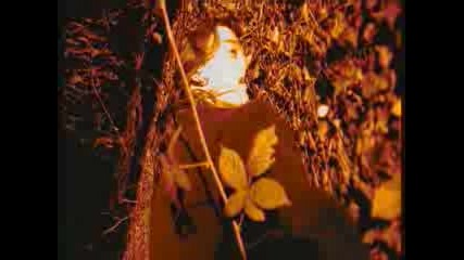 Paradise Lost - Embers Fire