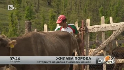 georgi ban4ev kopriv6tica