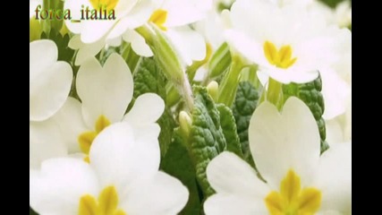Красотата на Природата . . .