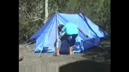 Варан влиза в палатка