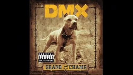 Dmx - The Rain