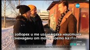 Как в Северна Швеция казват „да”?